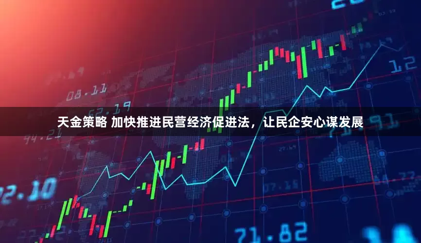 天金策略 加快推进民营经济促进法，让民企安心谋发展